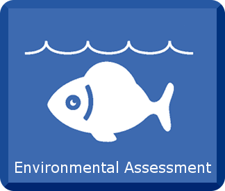 Environmental Assessment